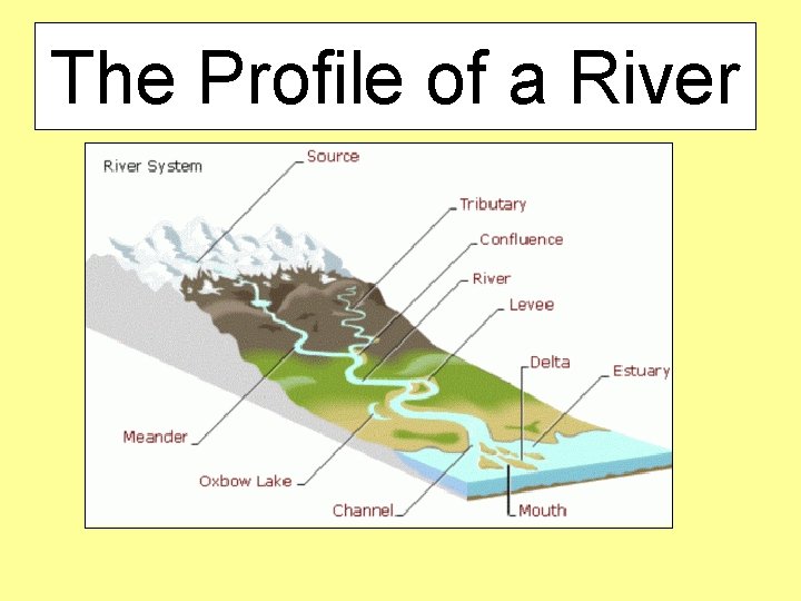 The Profile of a River 