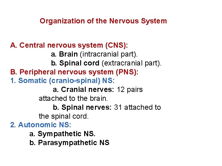 Organization of the Nervous System A. Central nervous system (CNS): a. Brain (intracranial part).