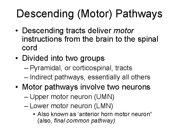 Descending (Motor) Pathways • Descending tracts deliver motor instructions from the brain to the