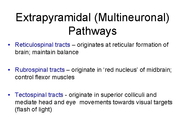 Extrapyramidal (Multineuronal) Pathways • Reticulospinal tracts – originates at reticular formation of brain; maintain