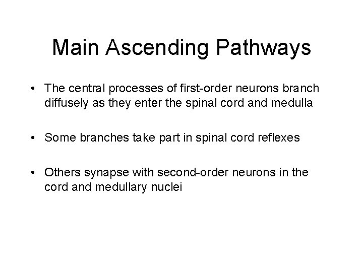 Main Ascending Pathways • The central processes of first-order neurons branch diffusely as they