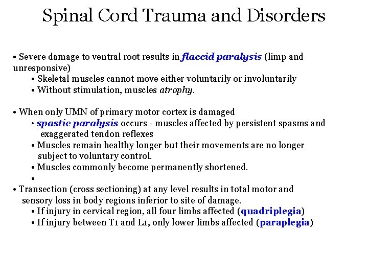 Spinal Cord Trauma and Disorders • Severe damage to ventral root results in flaccid