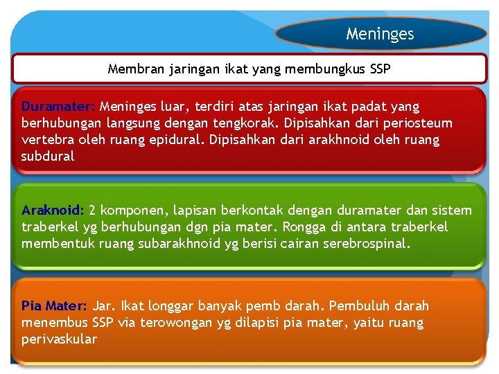 Meninges Membran jaringan ikat yang membungkus SSP Duramater: Meninges luar, terdiri atas jaringan ikat
