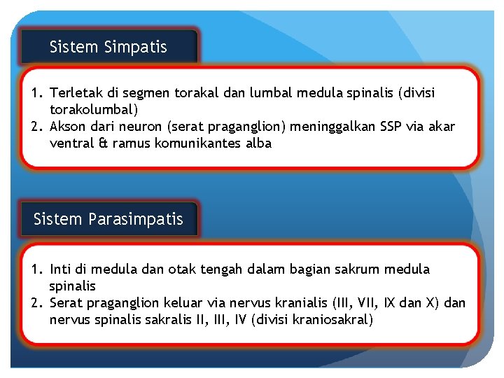 Sistem Simpatis 1. Terletak di segmen torakal dan lumbal medula spinalis (divisi torakolumbal) 2.