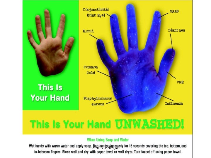 alen vukelić, dr alen vukelić, dr