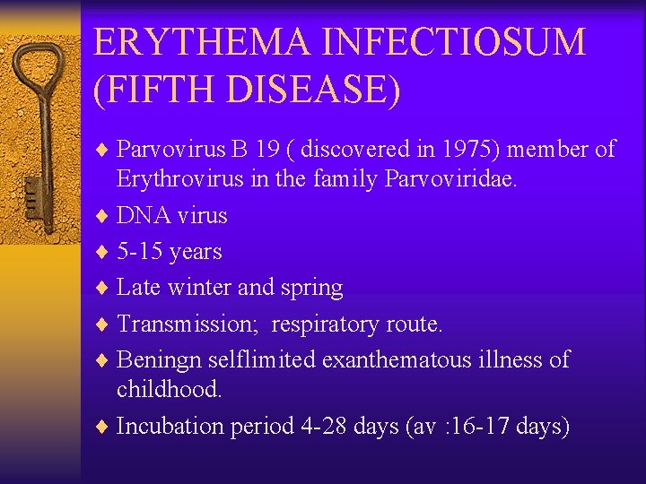 ERYTHEMA INFECTIOSUM (FIFTH DISEASE) ¨ Parvovirus B 19 ( discovered in 1975) member of