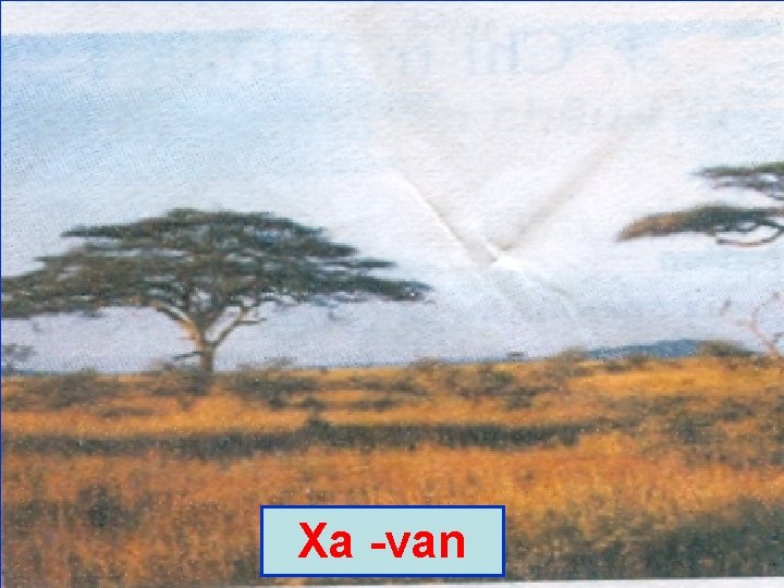 Xa -van 