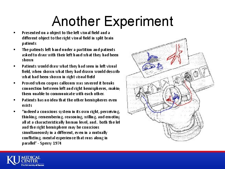 Another Experiment § § § Presented on a object to the left visual field