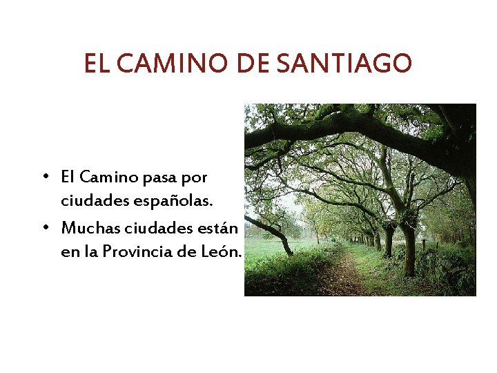 EL CAMINO DE SANTIAGO • El Camino pasa por ciudades españolas. • Muchas ciudades