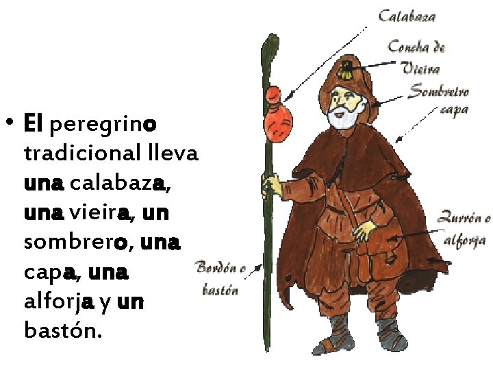  • El peregrino tradicional lleva una calabaza, una vieira, un sombrero, una capa,