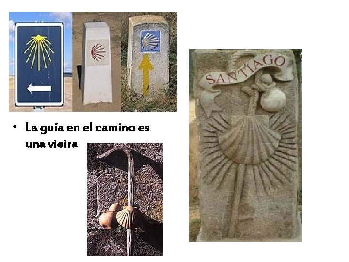  • La guía en el camino es una vieira 