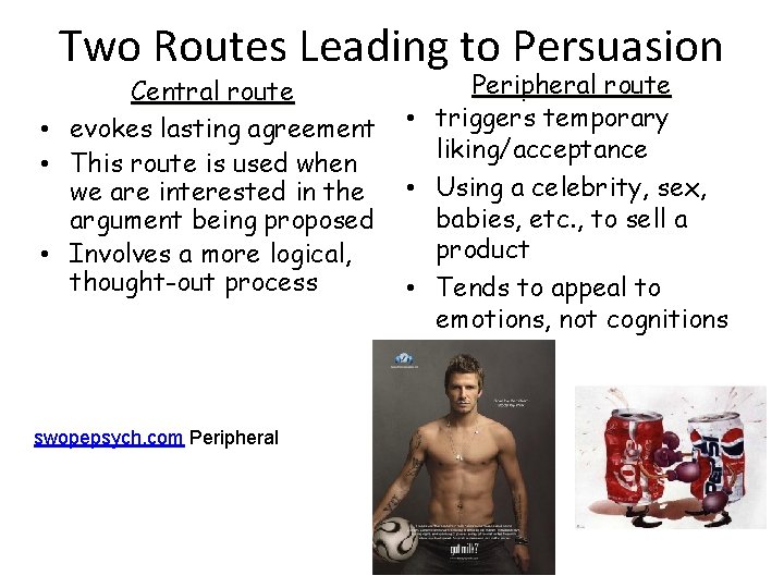 Two Routes Leading to Persuasion Central route • evokes lasting agreement • This route