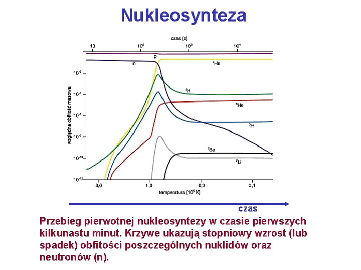 Nukleosynteza czas Przebieg pierwotnej nukleosyntezy w czasie pierwszych kilkunastu minut. Krzywe ukazują stopniowy wzrost