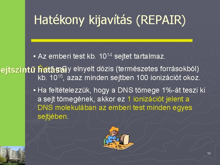 Hatékony kijavítás (REPAIR) • Az emberi test kb. 1014 sejtet tartalmaz. 1 m. Gy