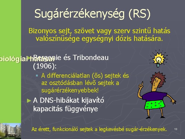 Sugárérzékenység (RS) Bizonyos sejt, szövet vagy szerv szintű hatás valószínűsége egységnyi dózis hatására. Bergonie
