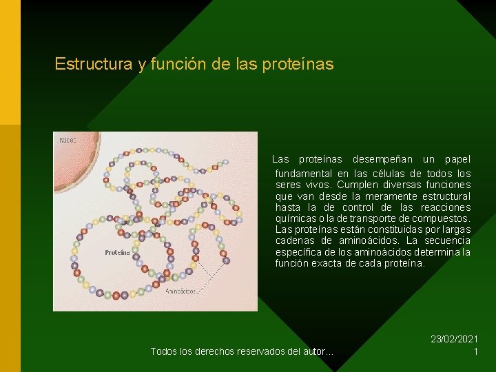Estructura y función de las proteínas Las proteínas desempeñan un papel fundamental en las