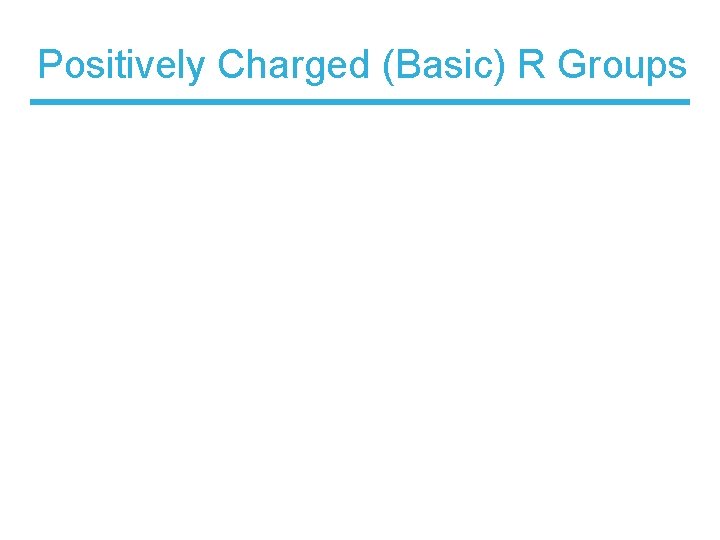 Positively Charged (Basic) R Groups 