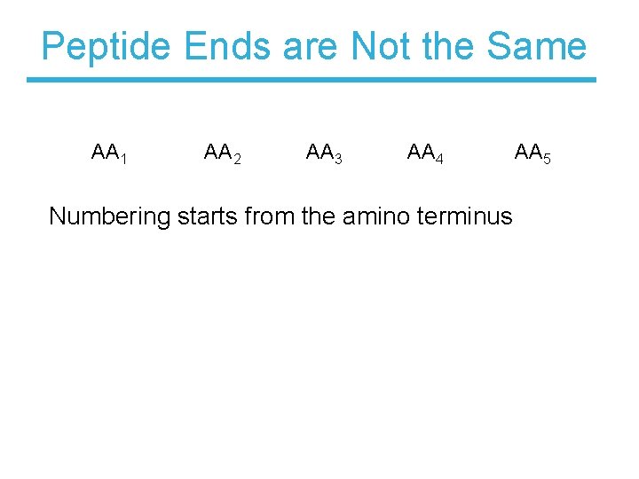 Peptide Ends are Not the Same AA 1 AA 2 AA 3 AA 4