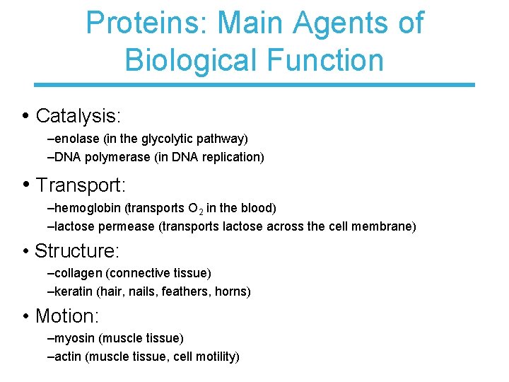 Proteins: Main Agents of Biological Function • Catalysis: –enolase (in the glycolytic pathway) –DNA