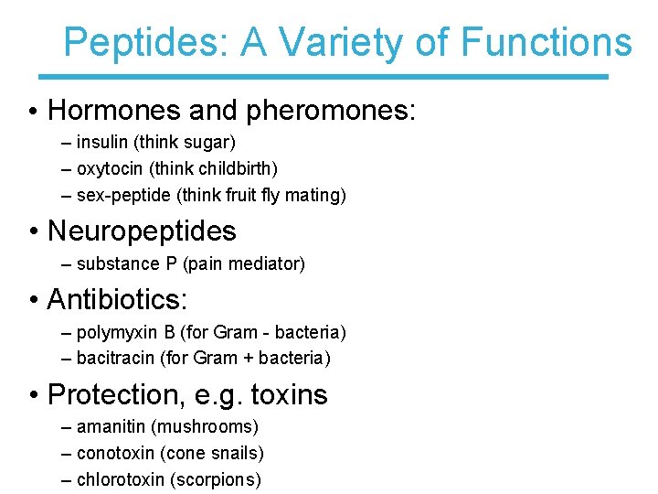 Peptides: A Variety of Functions • Hormones and pheromones: – insulin (think sugar) –