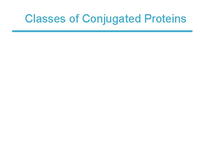 Classes of Conjugated Proteins 