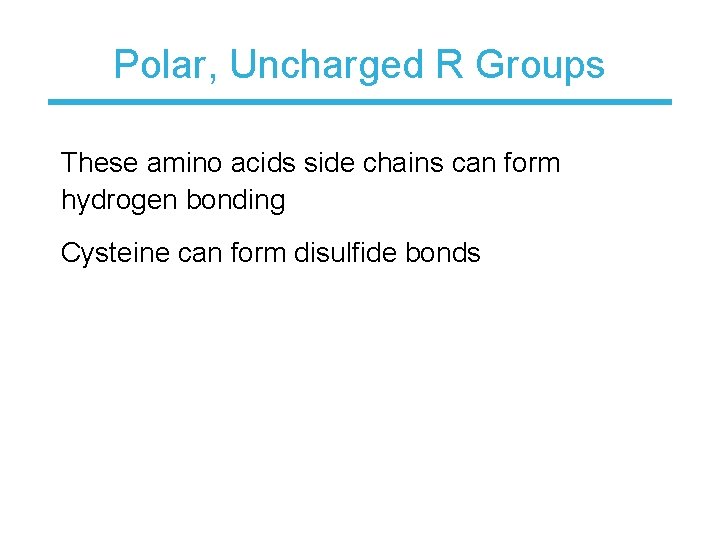 Polar, Uncharged R Groups These amino acids side chains can form hydrogen bonding Cysteine