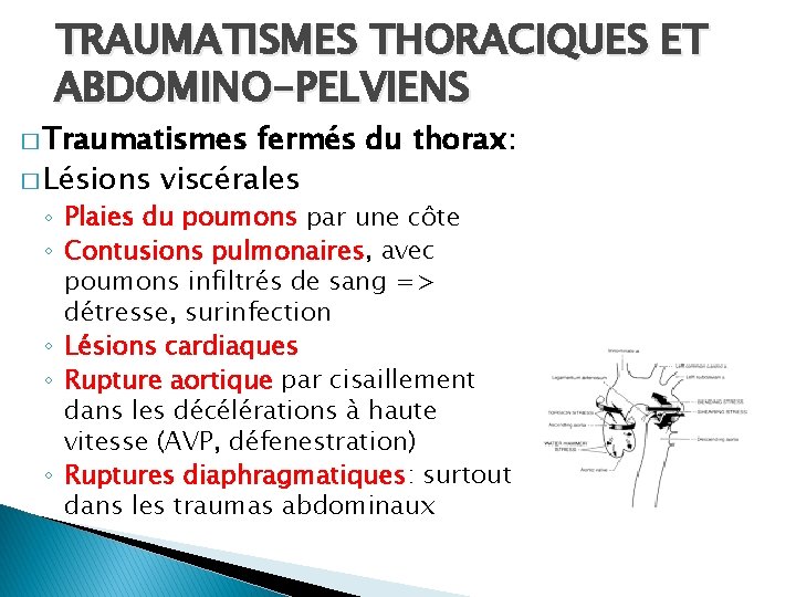 TRAUMATISMES THORACIQUES ET ABDOMINO-PELVIENS � Traumatismes fermés du thorax: � Lésions viscérales ◦ Plaies
