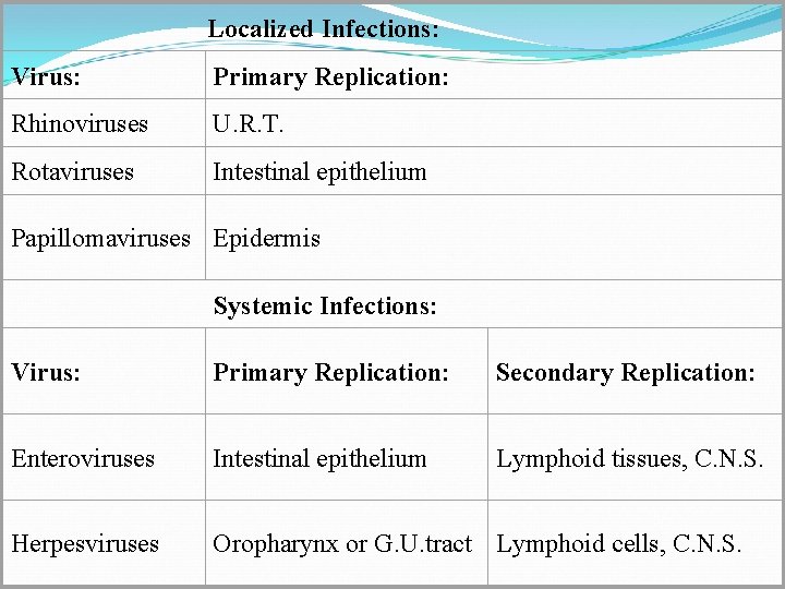 Localized Infections: Virus: Primary Replication: Rhinoviruses U. R. T. Rotaviruses Intestinal epithelium Papillomaviruses Epidermis