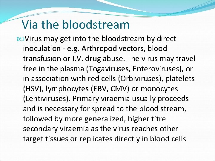 Via the bloodstream Virus may get into the bloodstream by direct inoculation - e.