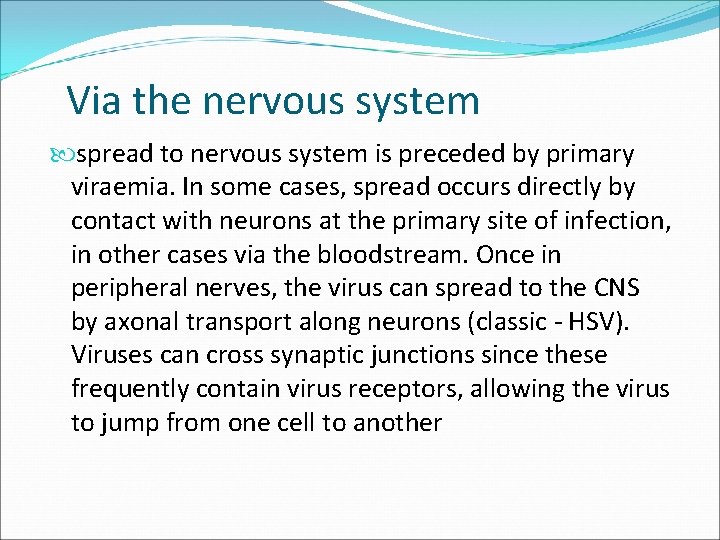 Via the nervous system spread to nervous system is preceded by primary viraemia. In