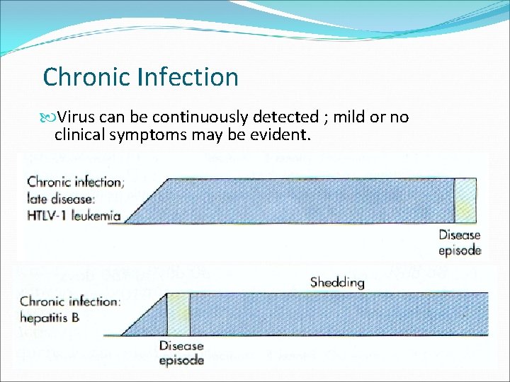 Chronic Infection Virus can be continuously detected ; mild or no clinical symptoms may