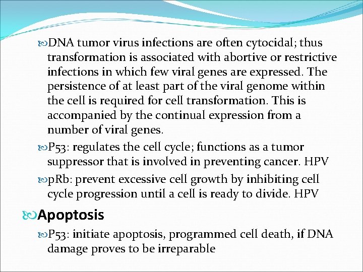  DNA tumor virus infections are often cytocidal; thus transformation is associated with abortive