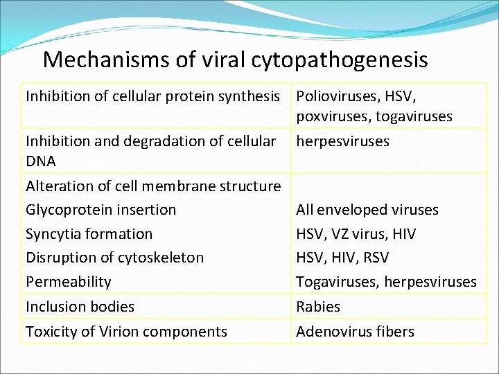 Mechanisms of viral cytopathogenesis Inhibition of cellular protein synthesis Polioviruses, HSV, poxviruses, togaviruses Inhibition