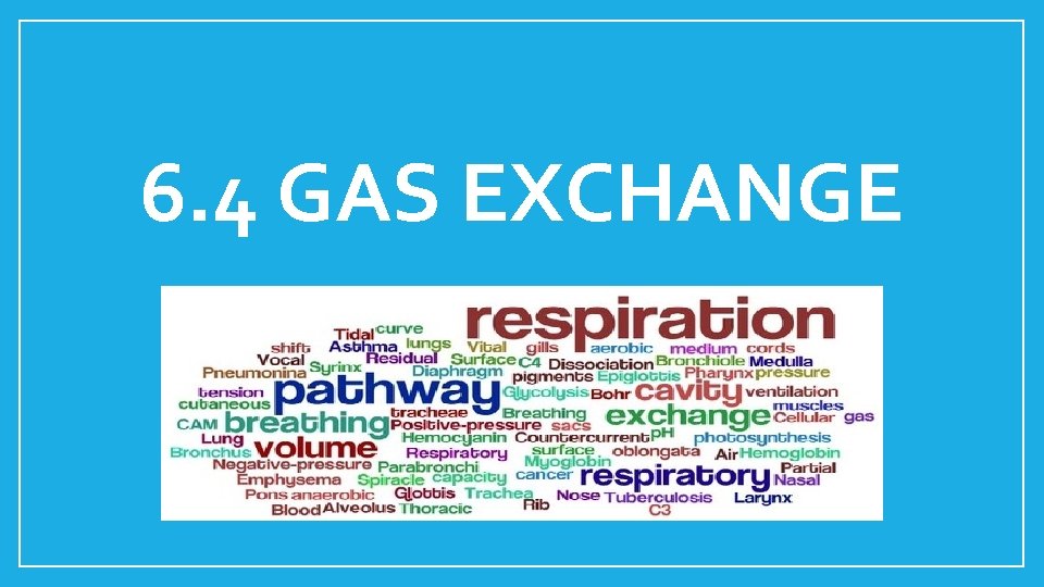 6. 4 GAS EXCHANGE 