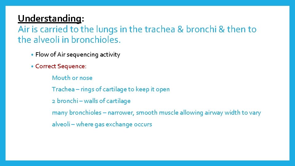 Understanding: Air is carried to the lungs in the trachea & bronchi & then