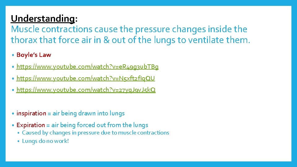 Understanding: Muscle contractions cause the pressure changes inside thorax that force air in &