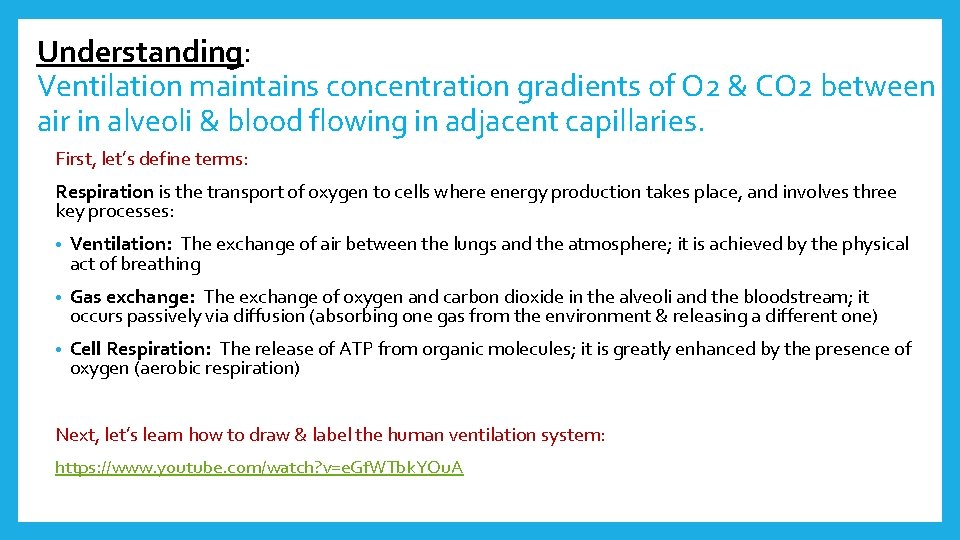 Understanding: Ventilation maintains concentration gradients of O 2 & CO 2 between air in