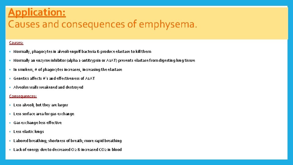 Application: Causes and consequences of emphysema. Causes: • Normally, phagocytes in alveoli engulf bacteria
