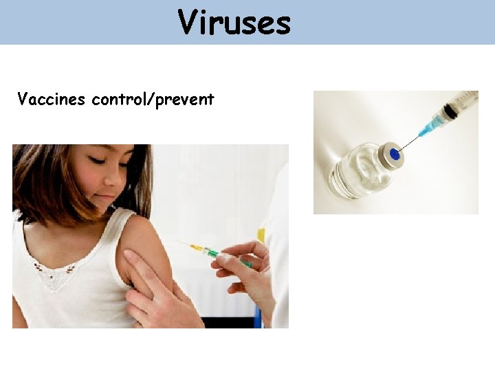 Viruses Vaccines control/prevent 