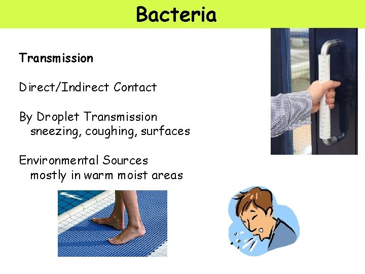 Bacteria Transmission Direct/Indirect Contact By Droplet Transmission sneezing, coughing, surfaces Environmental Sources mostly in