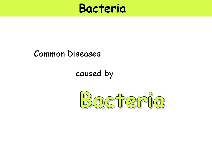 Bacteria Common Diseases caused by Bacteria 