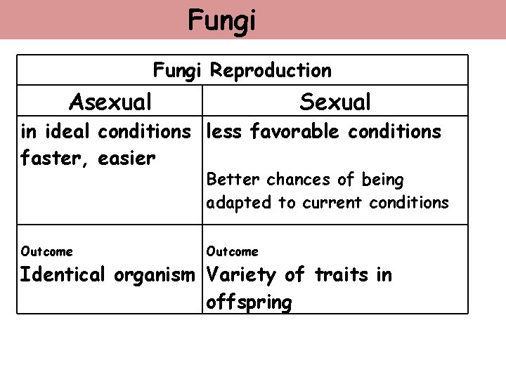 Fungi Reproduction Asexual Sexual in ideal conditions less favorable conditions faster, easier Better chances