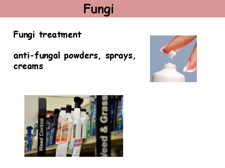 Fungi treatment anti-fungal powders, sprays, creams 