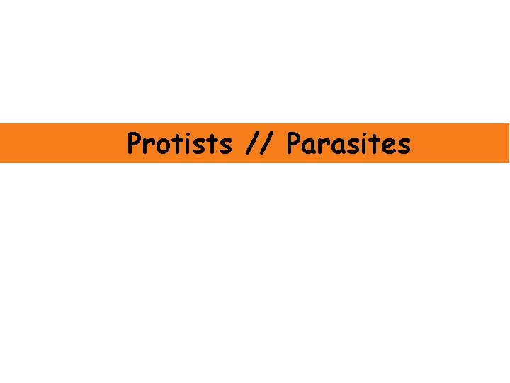 Protists // Parasites 