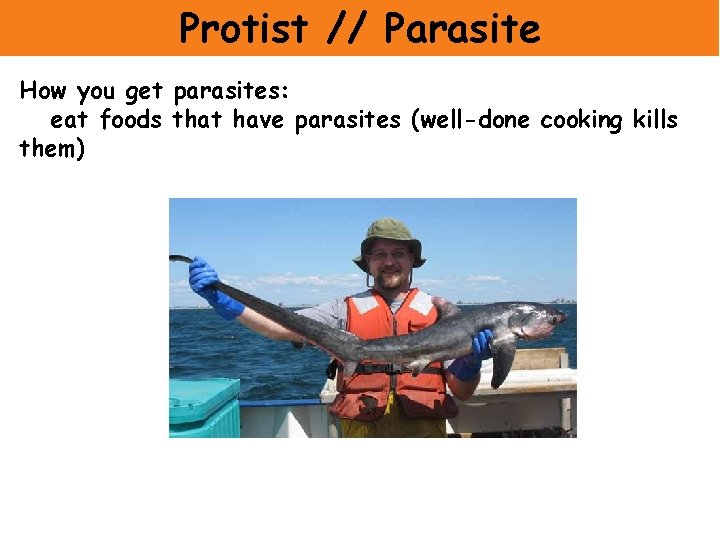 Protist // Parasite How you get parasites: eat foods that have parasites (well-done cooking