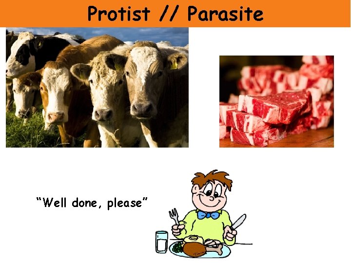 Protist // Parasite “Well done, please” 