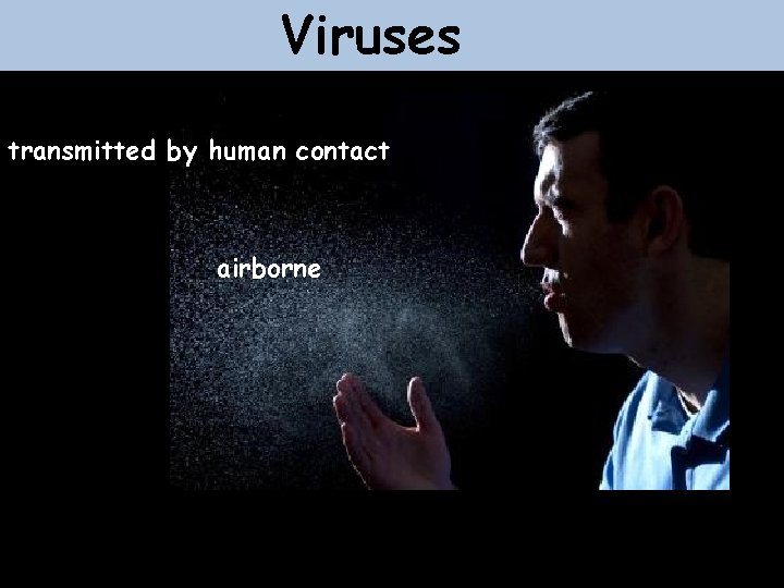 Viruses transmitted by human contact airborne 