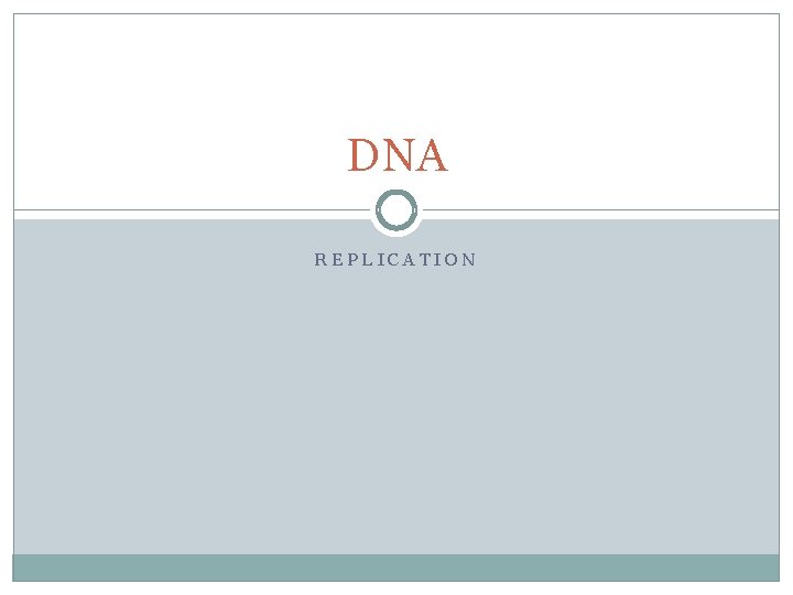 DNA REPLICATION 