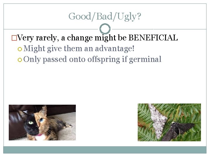 Good/Bad/Ugly? �Very rarely, a change might be BENEFICIAL Might give them an advantage! Only