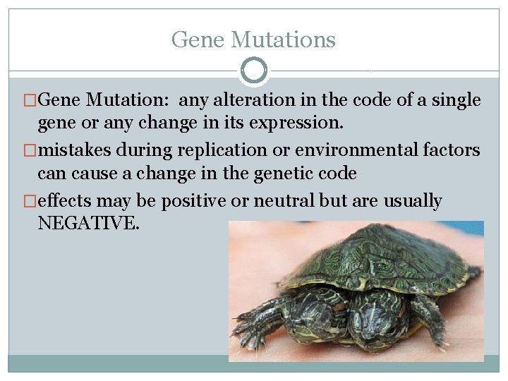 Gene Mutations �Gene Mutation: any alteration in the code of a single gene or